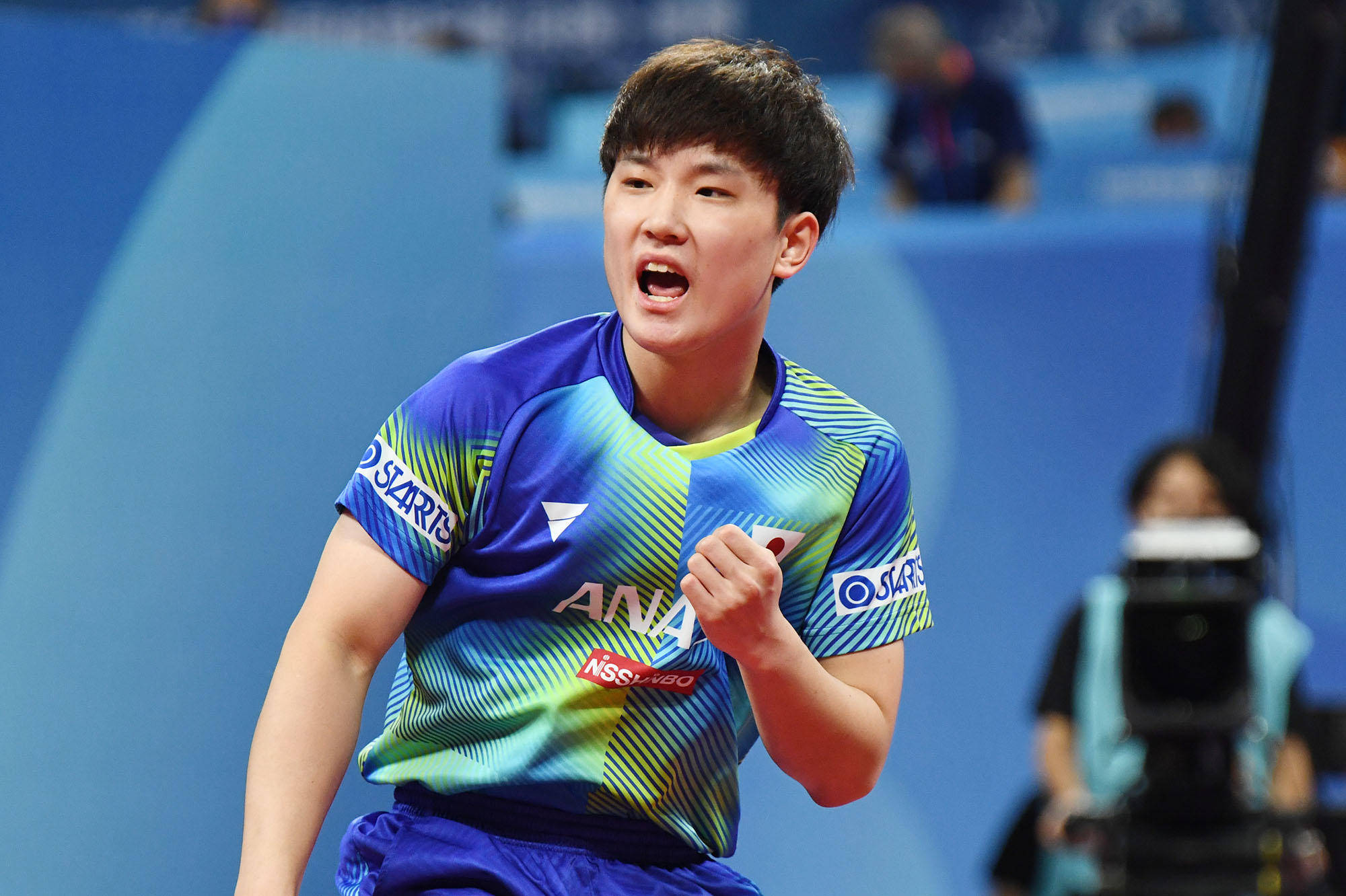 世界之窗及 世界之窗及